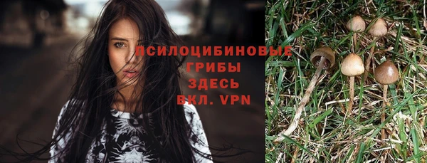 метадон Алзамай