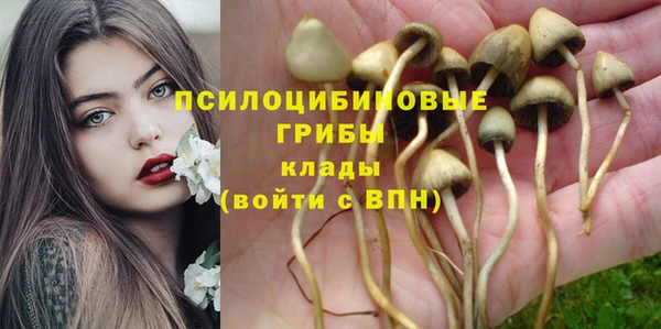метадон Алзамай