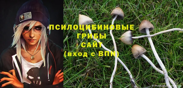 таблы Алексеевка