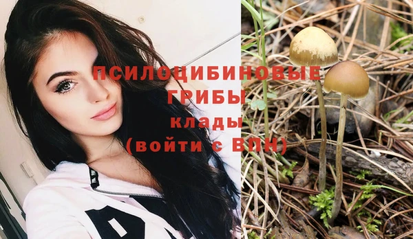 метадон Алзамай